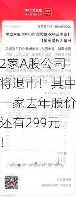 2家A股公司将退市！其中一家去年股价还有299元！