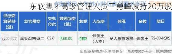 东软集团高级管理人员王勇峰减持20万股