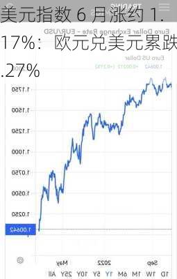 美元指数 6 月涨约 1.17%：欧元兑美元累跌 1.27%
