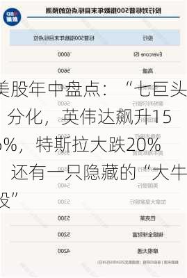 美股年中盘点：“七巨头”分化，英伟达飙升156%，特斯拉大跌20%！还有一只隐藏的“大牛股”