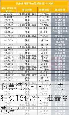 私募涌入ETF，年内狂买16亿份，谁最受热捧？