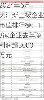 2024年6月天津新三板企业市值排行榜：13家企业去年净利润超3000万元