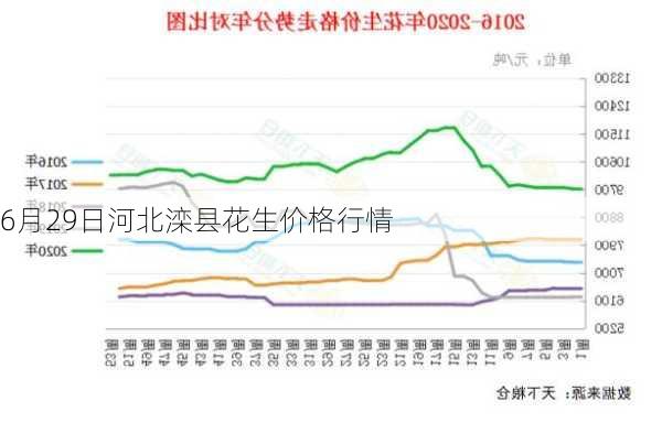 6月29日河北滦县花生价格行情