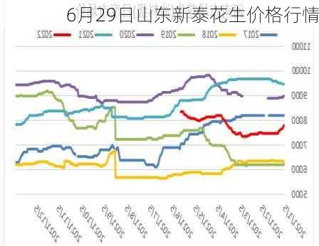 6月29日山东新泰花生价格行情