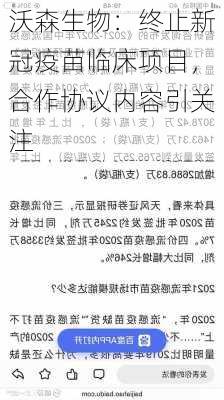 沃森生物：终止新冠疫苗临床项目，合作协议内容引关注