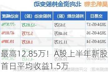 最高12.85万！A股上半年新股首日平均收益1.5万