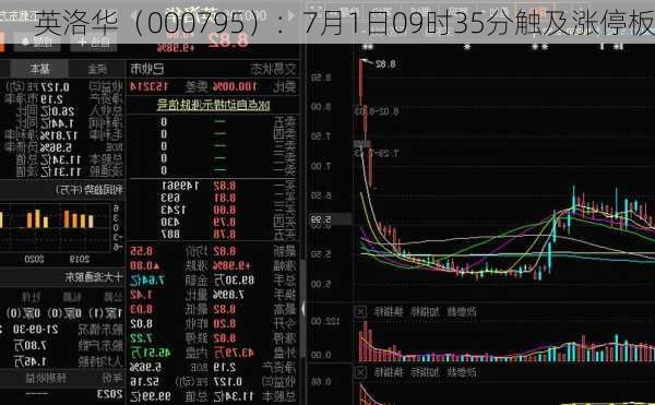 英洛华（000795）：7月1日09时35分触及涨停板