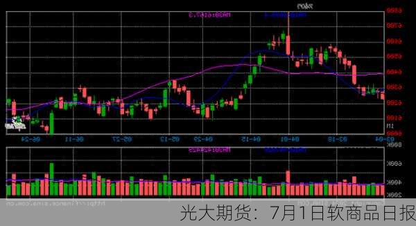 光大期货：7月1日软商品日报