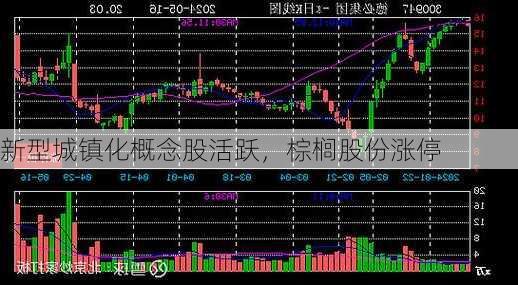 新型城镇化概念股活跃，棕榈股份涨停