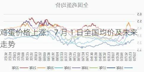 鸡蛋价格上涨：7 月 1 日全国均价及未来走势