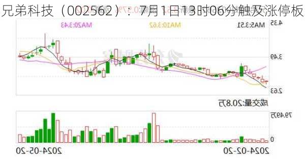 兄弟科技（002562）：7月1日13时06分触及涨停板