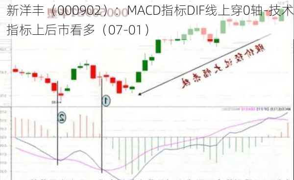 新洋丰（000902）：MACD指标DIF线上穿0轴-技术指标上后市看多（07-01）