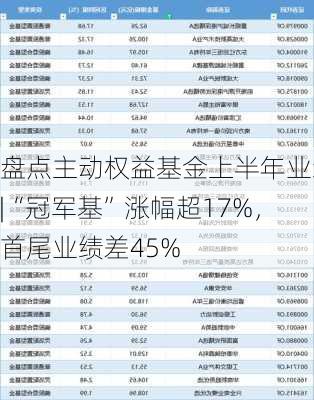 盘点主动权益基金上半年业绩|“冠军基”涨幅超17%，首尾业绩差45%