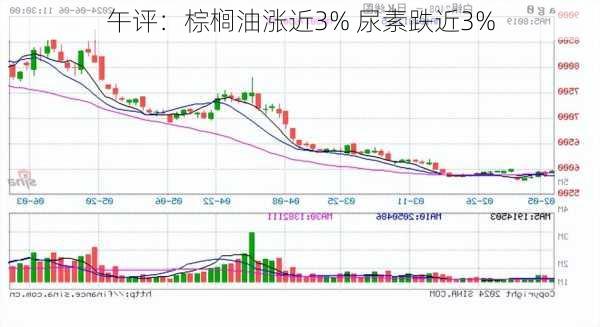 午评：棕榈油涨近3% 尿素跌近3%