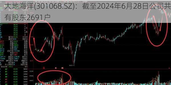 大地海洋(301068.SZ)：截至2024年6月28日公司共有股东2691户