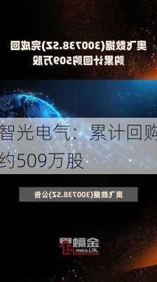 智光电气：累计回购约509万股