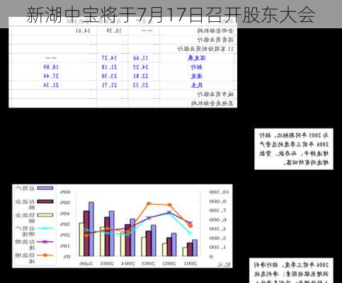 新湖中宝将于7月17日召开股东大会