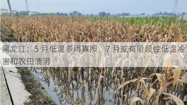 黑龙江：5 月低温多雨寡照，7 月或有阶段性低温冷害和农田渍涝