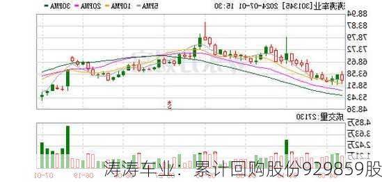 涛涛车业：累计回购股份929859股