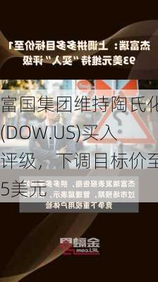 富国集团维持陶氏化学(DOW.US)买入评级，下调目标价至65美元