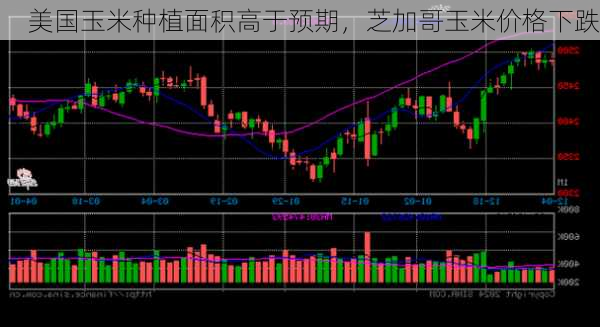 美国玉米种植面积高于预期，芝加哥玉米价格下跌