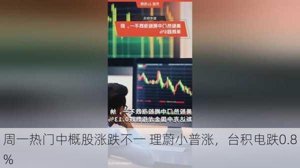 周一热门中概股涨跌不一 理蔚小普涨，台积电跌0.8%