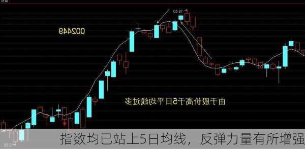 指数均已站上5日均线，反弹力量有所增强