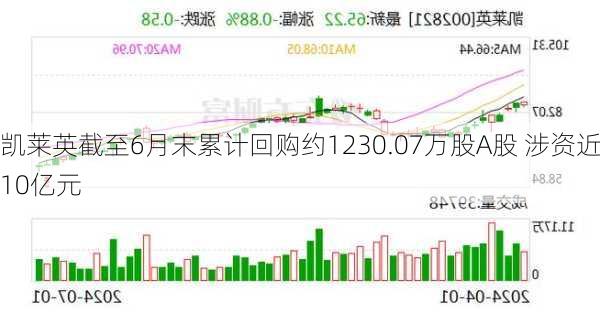 凯莱英截至6月末累计回购约1230.07万股A股 涉资近10亿元