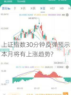 上证指数30分钟反弹预示本月将有上涨趋势?