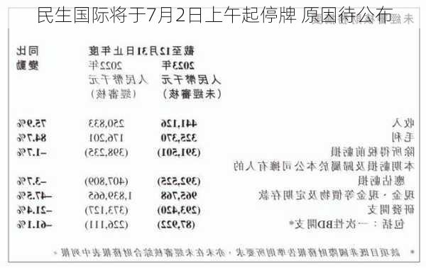 民生国际将于7月2日上午起停牌 原因待公布