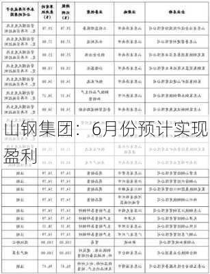 山钢集团：6月份预计实现盈利