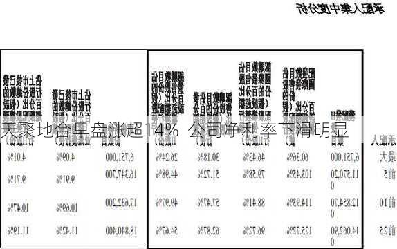 天聚地合早盘涨超14%  公司净利率下滑明显