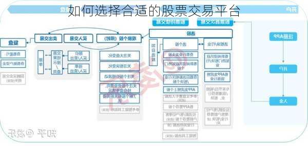 如何选择合适的股票交易平台