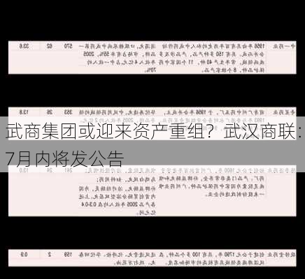 武商集团或迎来资产重组？武汉商联：7月内将发公告