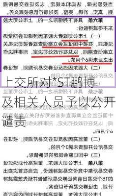 上交所对*ST鹏博及相关人员予以公开谴责