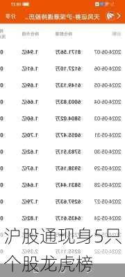 沪股通现身5只个股龙虎榜