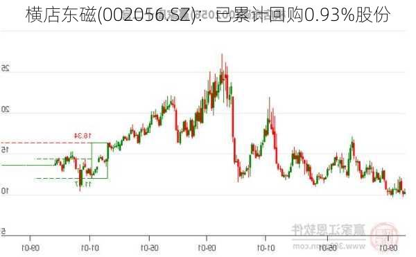 横店东磁(002056.SZ)：已累计回购0.93%股份