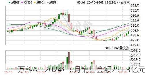 万科A：2024年6月销售金额251.3亿元