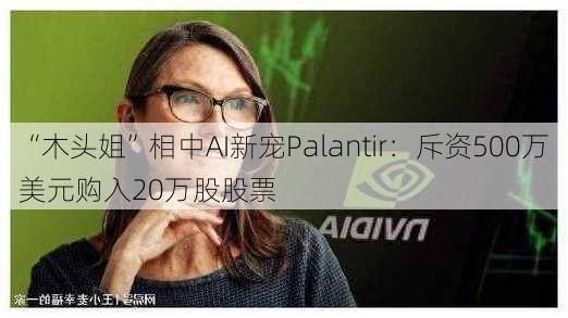 “木头姐”相中AI新宠Palantir：斥资500万美元购入20万股股票