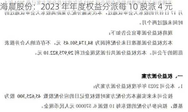 海晨股份：2023 年年度权益分派每 10 股派 4 元