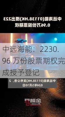 中远海能：2230.96 万份股票期权完成授予登记