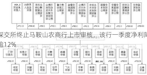 深交所终止马鞍山农商行上市审核，该行一季度净利降逾12%