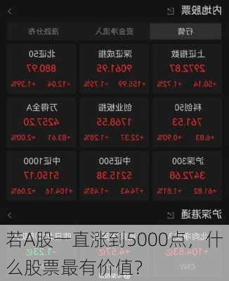 若A股一直涨到5000点，什么股票最有价值？