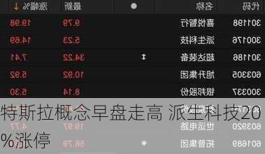 特斯拉概念早盘走高 派生科技20%涨停