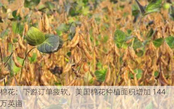 棉花：下游订单疲软，美国棉花种植面积增加 144 万英亩