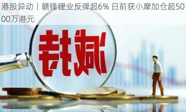 港股异动丨赣锋锂业反弹超6% 日前获小摩加仓超5000万港元