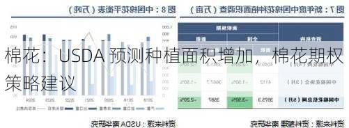 棉花：USDA 预测种植面积增加，棉花期权策略建议