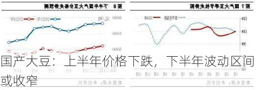 国产大豆：上半年价格下跌，下半年波动区间或收窄