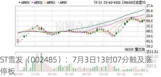 ST雪发（002485）：7月3日13时07分触及涨停板