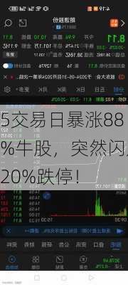 5交易日暴涨88%牛股，突然闪崩20%跌停！